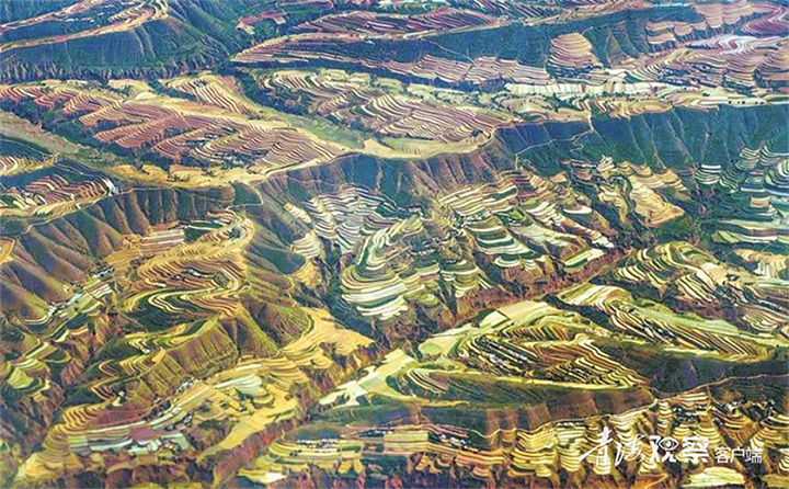 微信图片_2025-12-11_105919_435