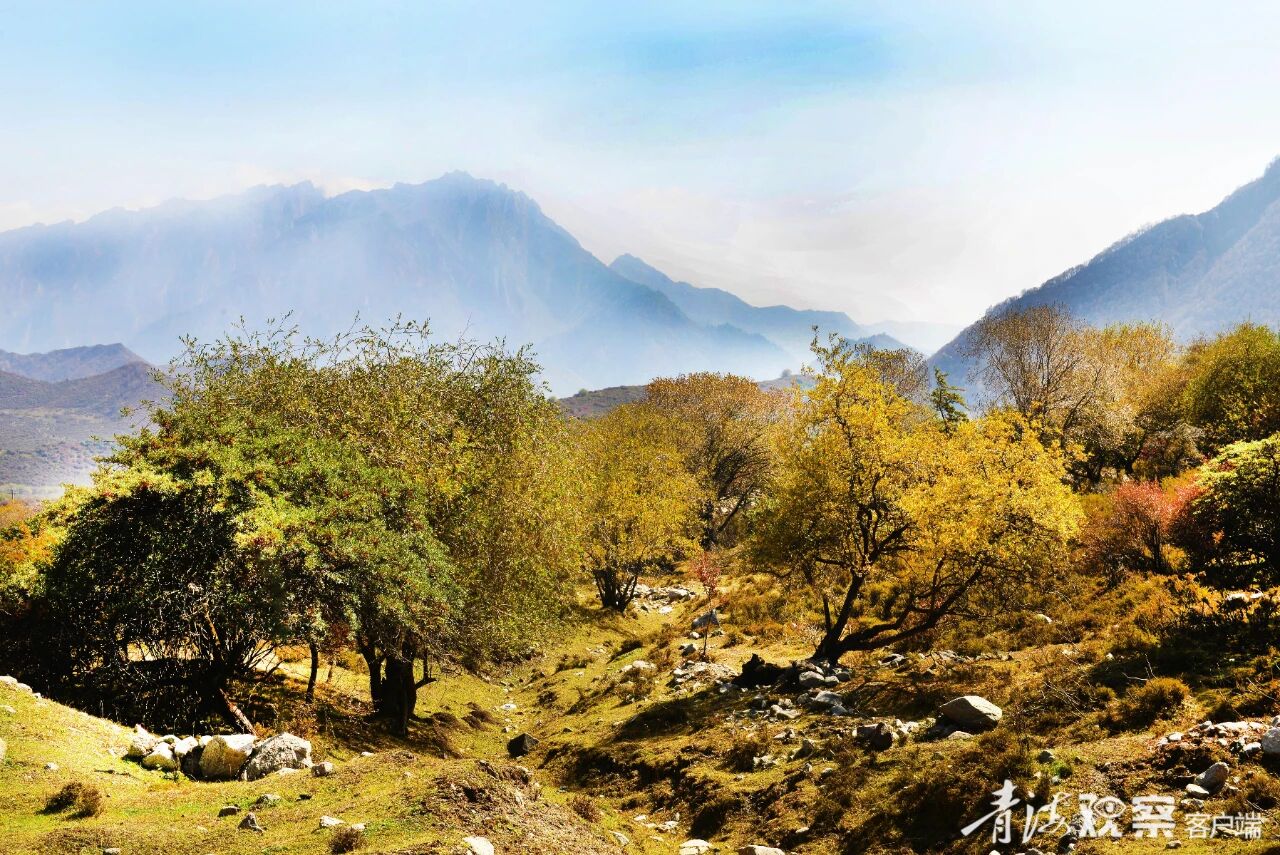 微信图片_2025-12-11_105928_619