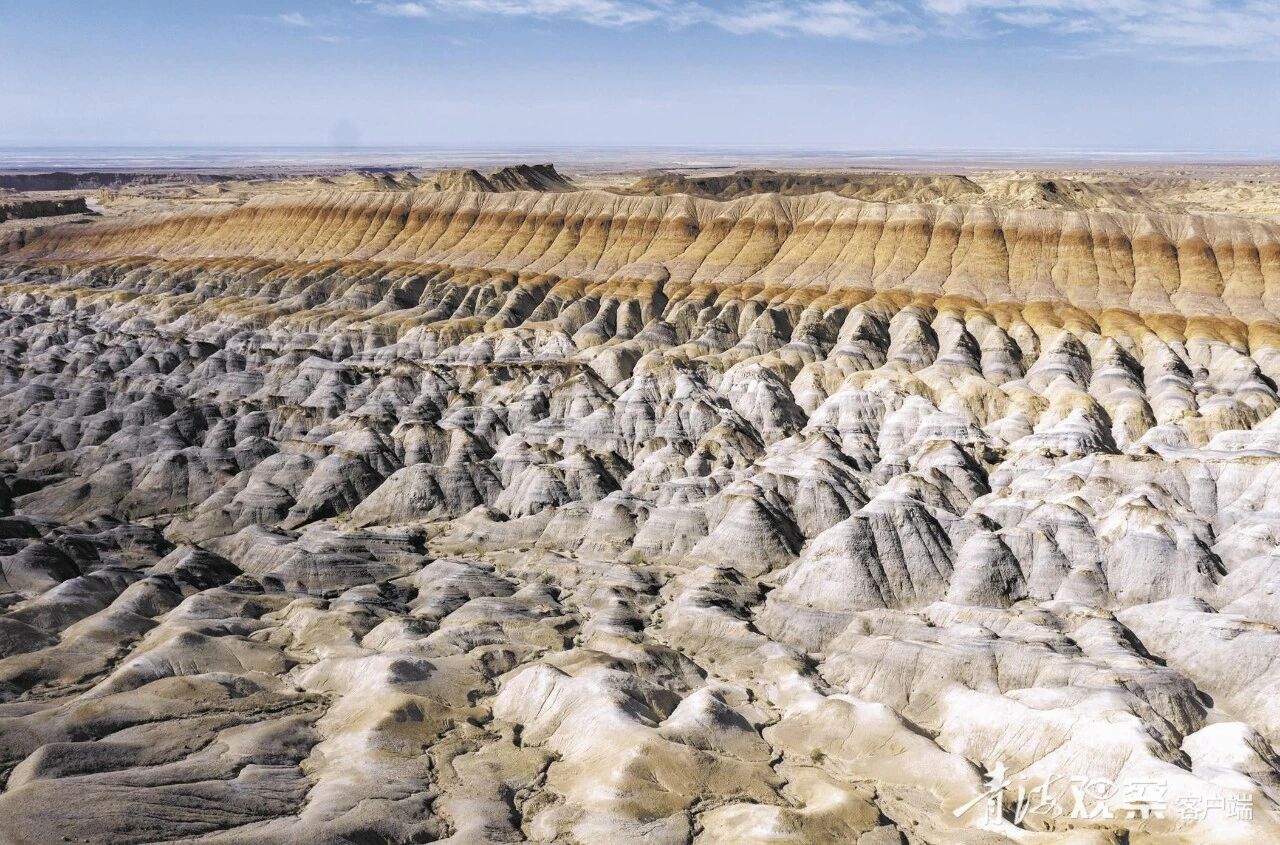 微信图片_2025-12-11_105936_545