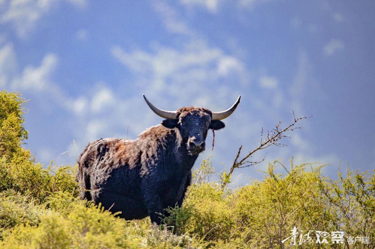 微信图片_2025-12-11_105931_586