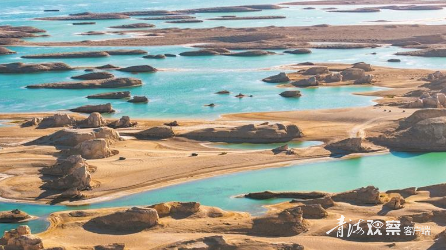 微信图片_2025-12-11_105938_985