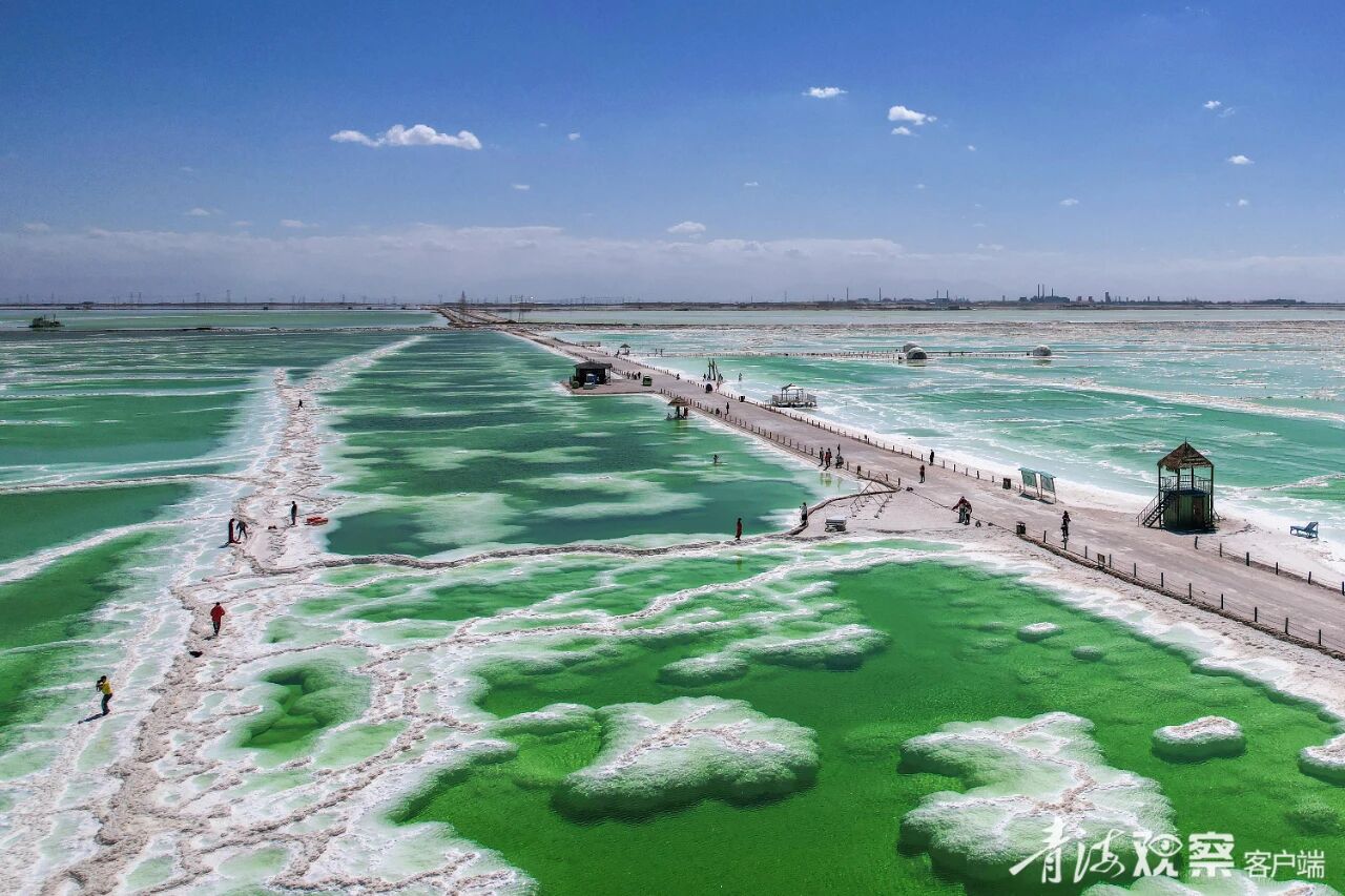 微信图片_2025-12-11_105946_825