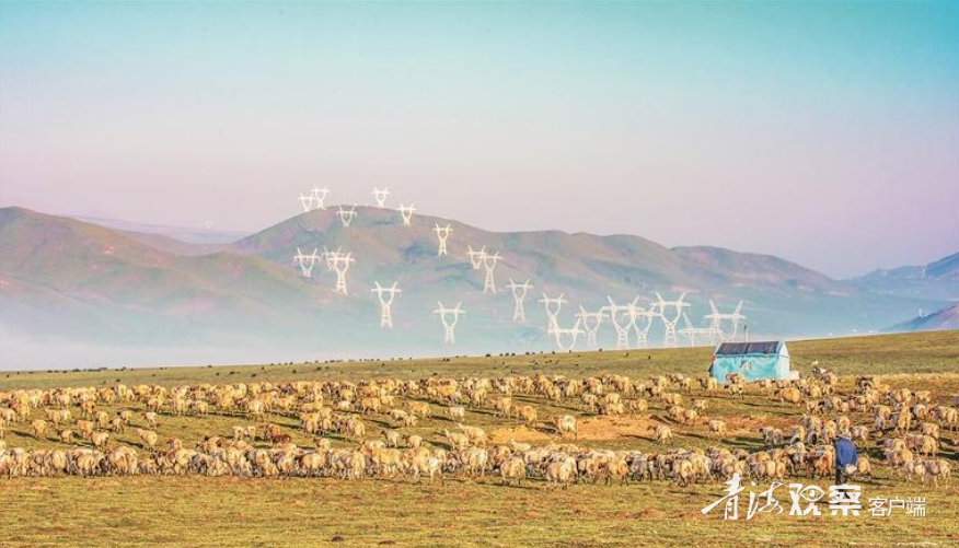 微信图片_2025-12-11_105943_522