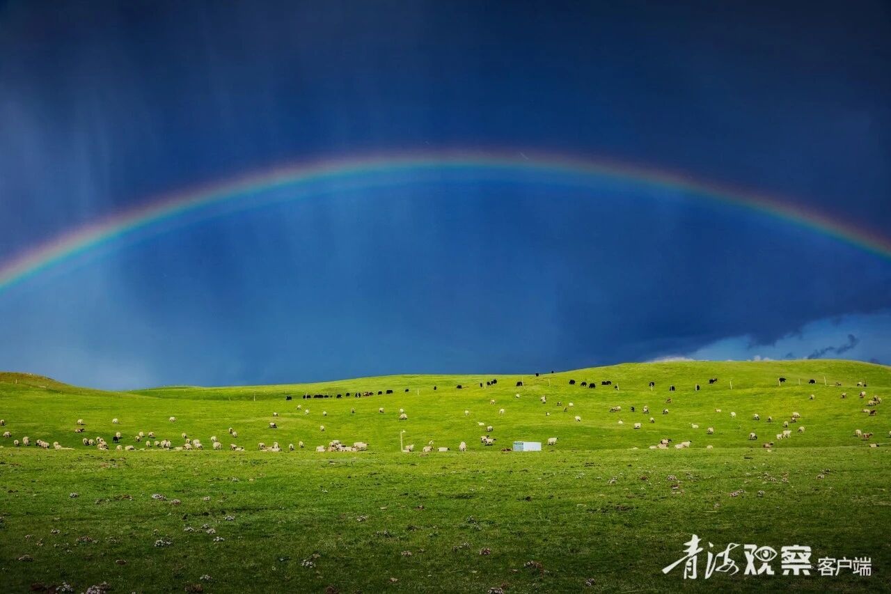 微信图片_2025-12-11_105949_289