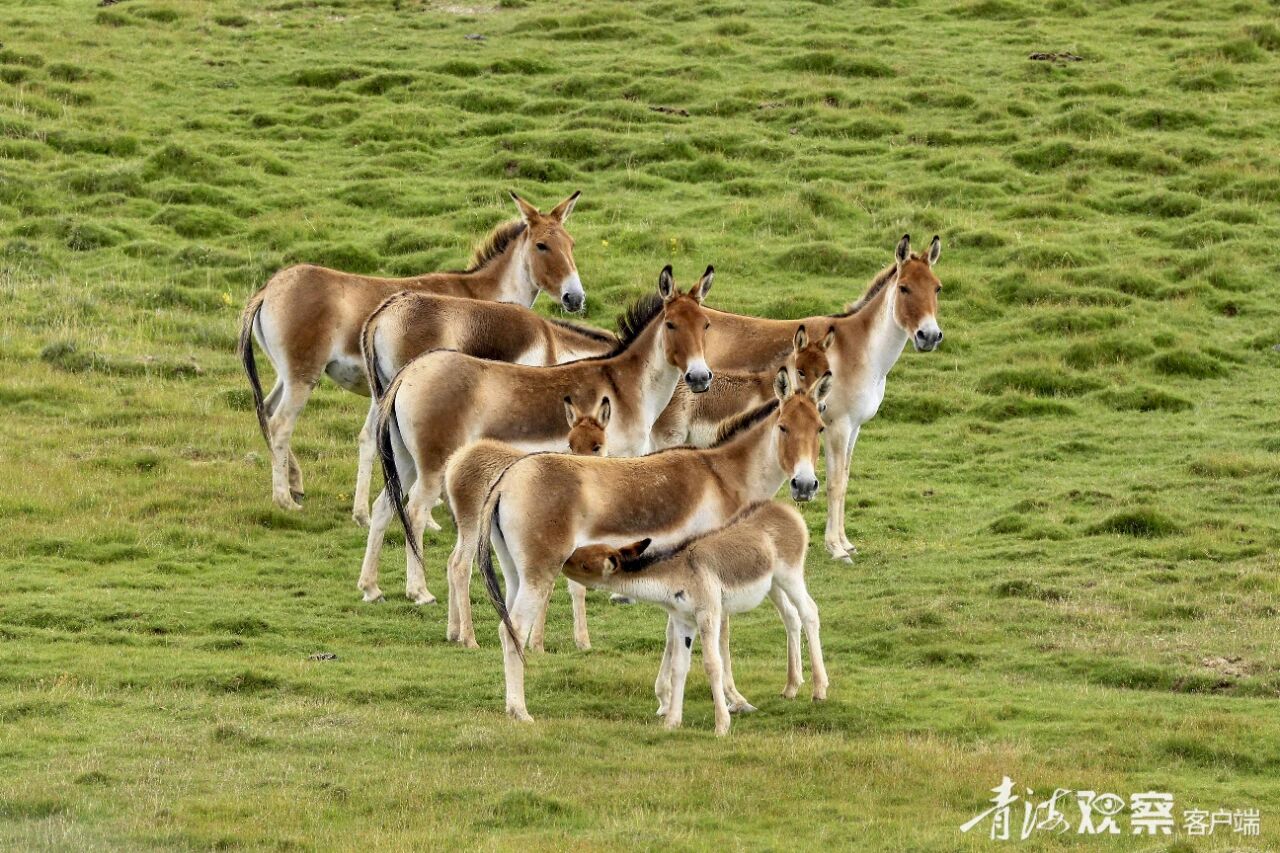 微信图片_2025-12-11_105951_530